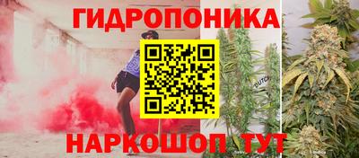 каннабис Будённовск