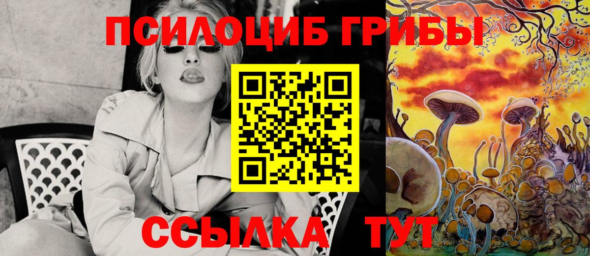 Галлюциногенные грибы прущие грибы Нижнеудинск