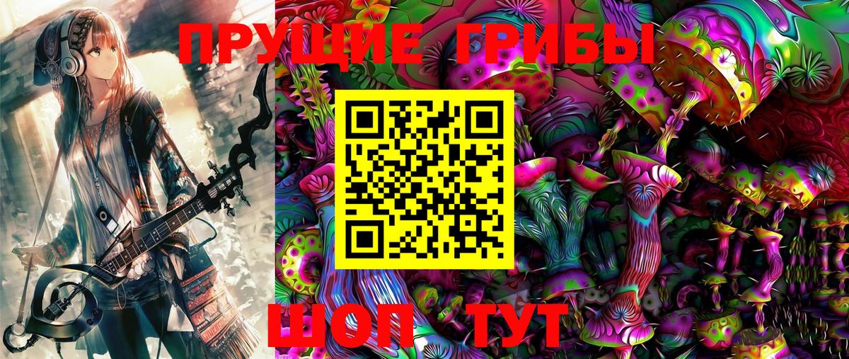 где найти   Галлюциногенные грибы Cubensis  Нижнеудинск  Вход с VPN  Псилоцибиновые грибы Psilocybe 